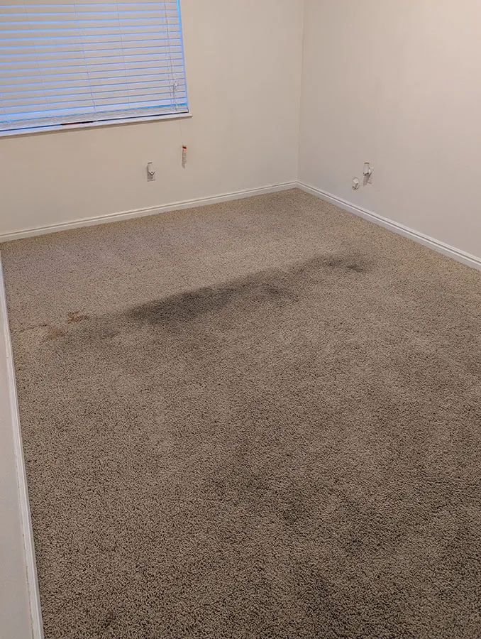 Ann image of a carpet before cleaning